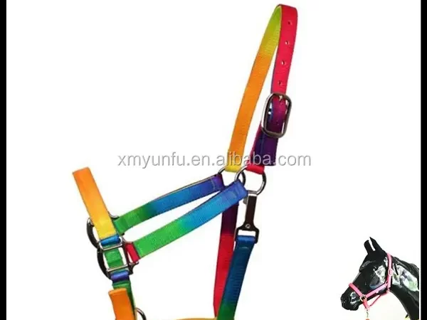 Equestrian Equipment Webbing Rainbow Horse Halter